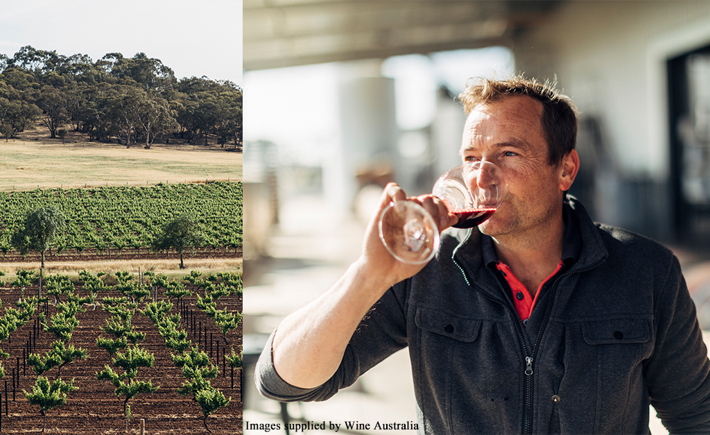 Troy and Vineyard Photo